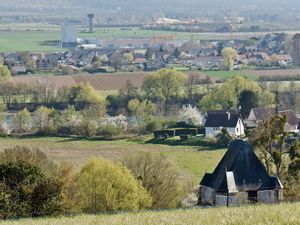 Loin d'être désertique, la commune de Freneuse est arborée, notamment par des saules têtards dans la plaine alluviale qui témoignent du passage d'anciens bras de Seine, depuis asséchés. Le nom de la paroisse, quant à lui, désigne un lieu planté de frênes (photographies de Frédéric Ménissier, avril 2021).  