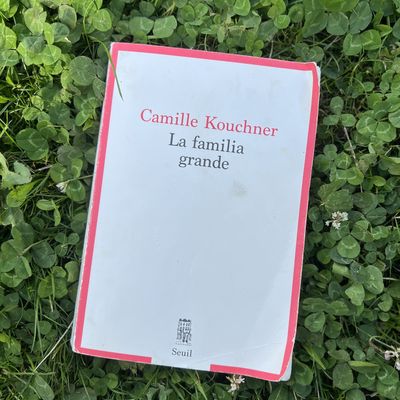 La Familia grande - Camille Kouchner