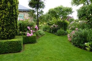 Rubrique" notre Jardin cette semaine ( sem.25)