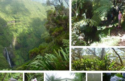 La Réunion : cirque de Salazie