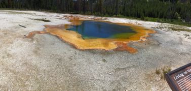 Yellowstone