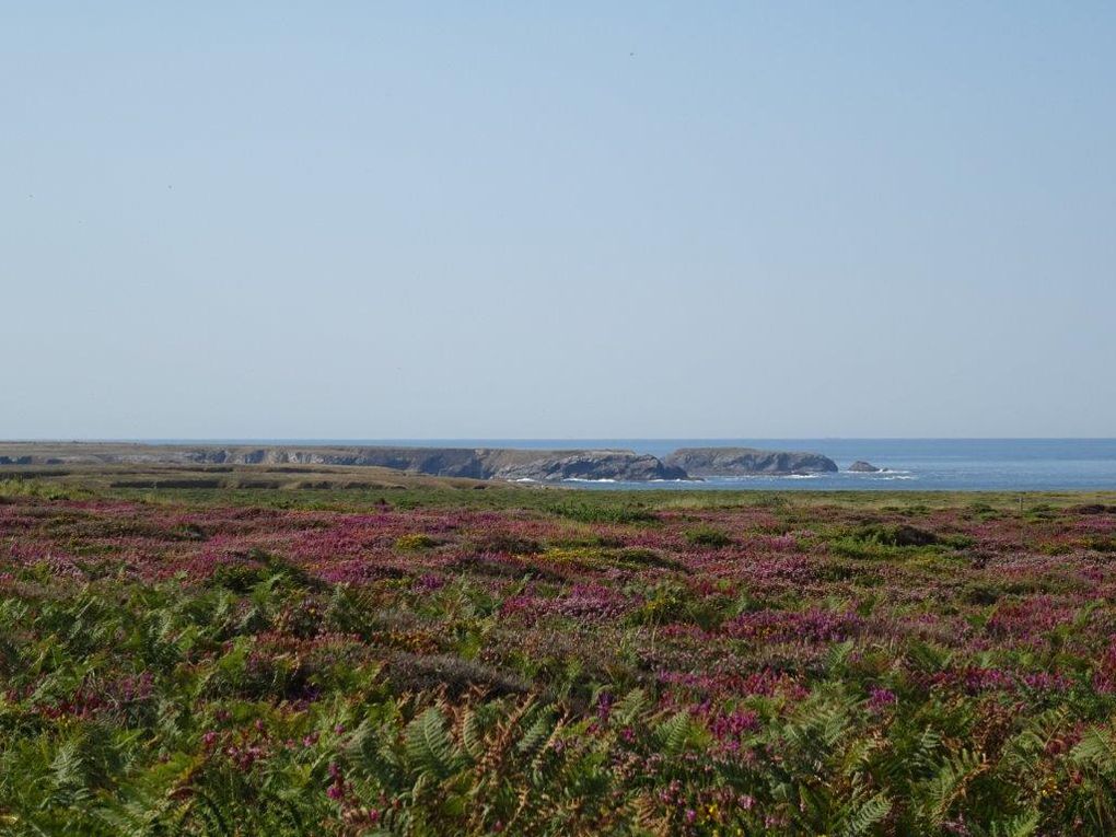 Belle Ile en Mer