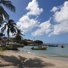 La Martinique : Bord de mer