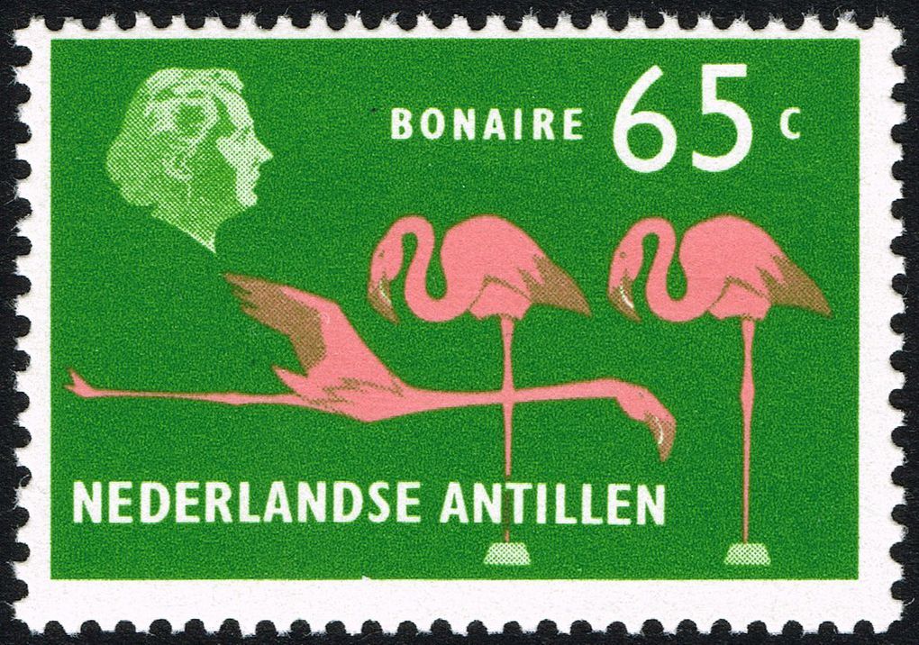 Les flamants roses