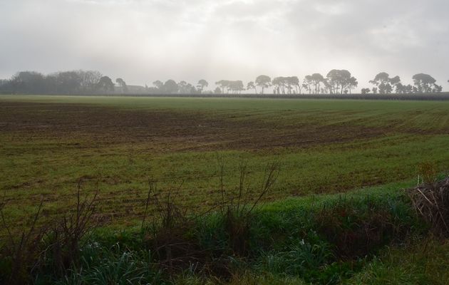 Le 1er janvier dans le brouillard
