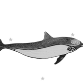 Onepage Home - The Dolphin Swim Club