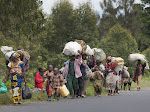 Rébellion du M23: plus de 560 familles déplacées de Rutshuru en détresse à Kibati