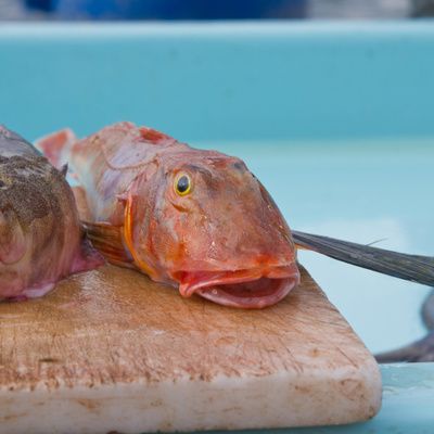 Comment réaliser une soupe de poisson de Marseille ? (ingrédients, préparation)