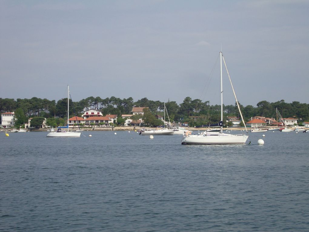 Croisière sur le bassin d'Arcachon et découverte panoramique de la ville. 