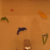 DES DAUPHINS DANS MA SALLE DE BAIN !