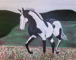 cheval pie et champ de fleurs