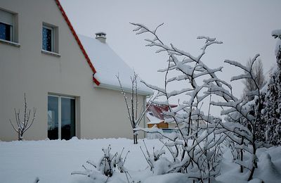 19 décembre 2009 : réveil sous la neige : 20 cm !!!