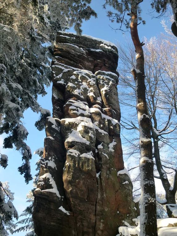 En cheminant vers le sommet du Spillberg, un petit coup d'oeil en contrebas, permet de découvrir le château de l'Ochsenstein sur son imposant rocher. Cette ruine, tout comme le Wuestenberg, fera l'objet d'un autre post.   