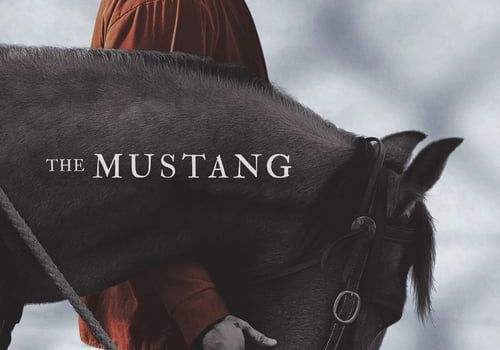 Voir The Mustang Film Streaming Gratuit.