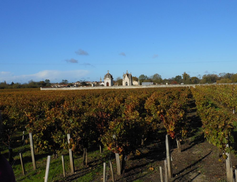 Fête du vin au"Clos de Grange Vieille"