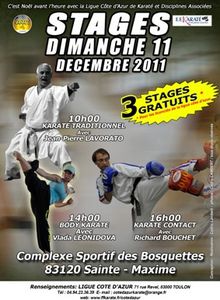 STAGES KARATE GRATUITS....