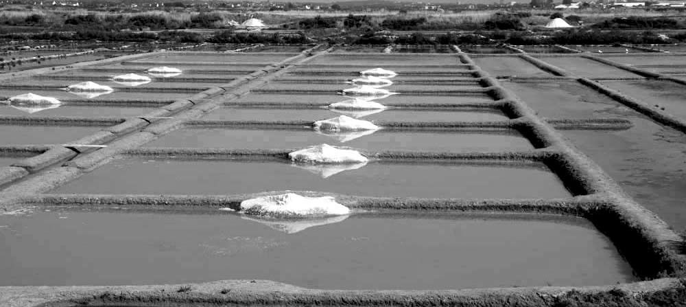 Album - Les Marais-salants de Guerande en noir et blanc