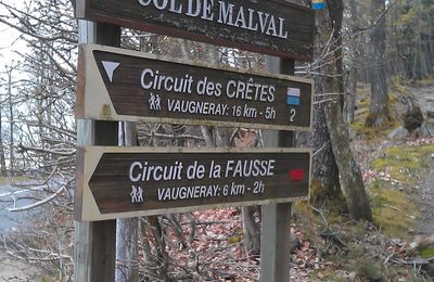 Elles ont marché...