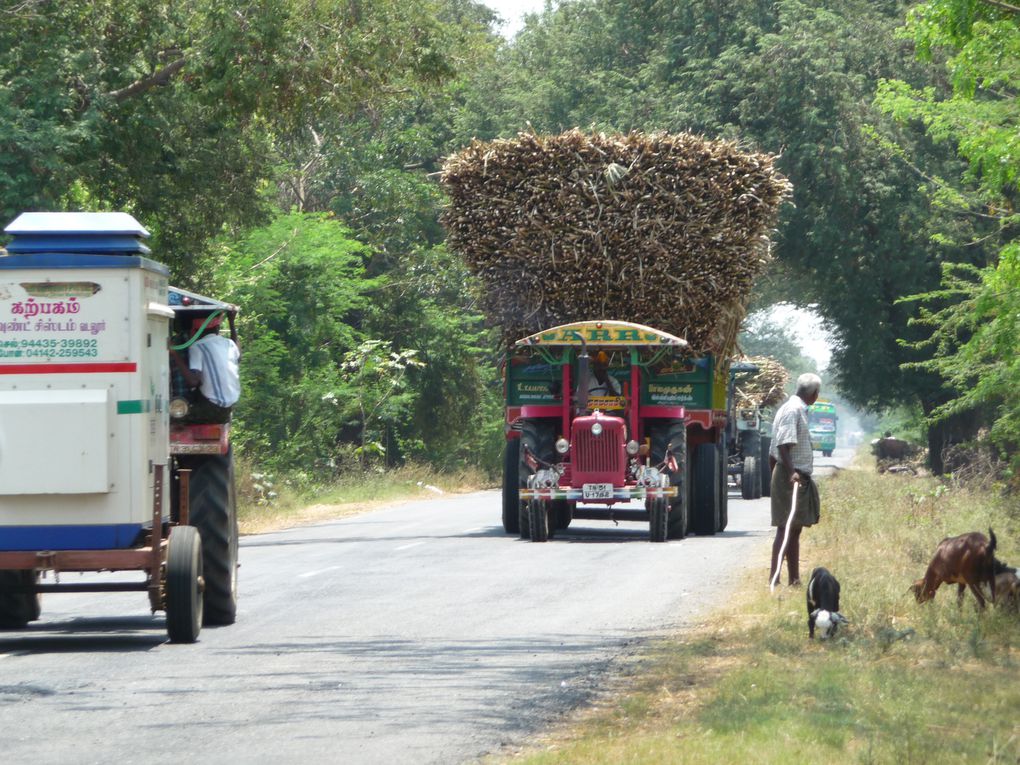 Album - Inde-du-Sud : Tamil Nadu, Kerala, Karnataka.