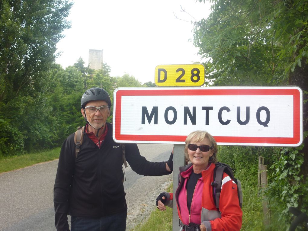 De Montcuq dans le Lot (vous connaissez tous l'arrêt de Montcuq !!!) à Puget en passant par le chemin bordant le canal du midi et les petits sentiers de Camargue.GRANDIOSE !! que la France est belle!!