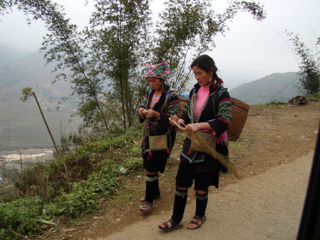 Album - 2012-VIETNAM-SAPA-II