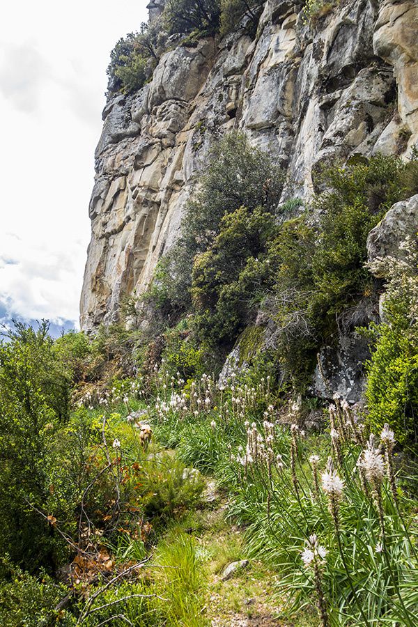 Martine fait le tour du vallon de Mangiarde depuis La Tour-sur-Tinée (603m)