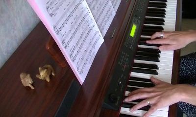 Two trees - L.Einaudi