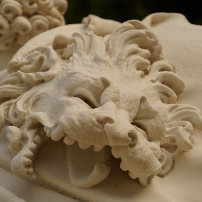 La tête de lion mort.