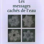 @ Boutique : Livres du dr Emoto - La Caravane des Sources