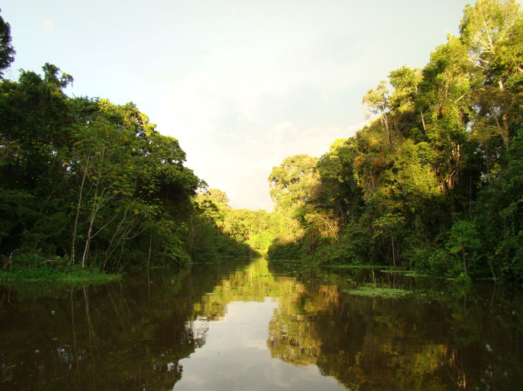 Album - Perou--Machu-a-Iquitos