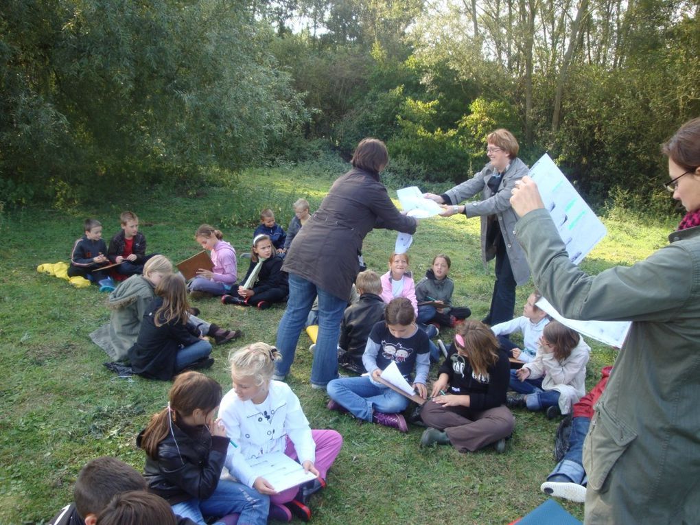 Sortie CM1 de Mr RACHEZ et CM2 de Mme LEON à la Tourbière de Vred 