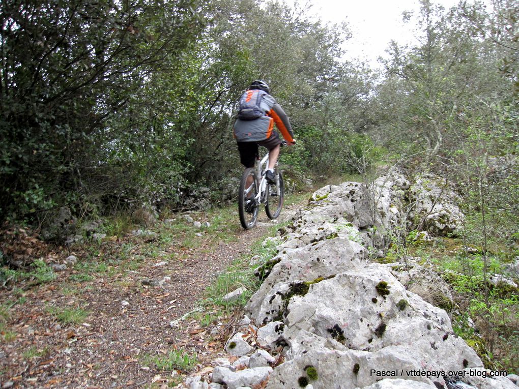 Album - Sorties Cévennes Vélo Nature en 2012