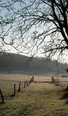 Bonnes fêtes de fin d'année !