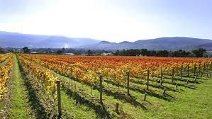 #Red Sparkling Wines Producers  Western Victoria Vineyards  Australia