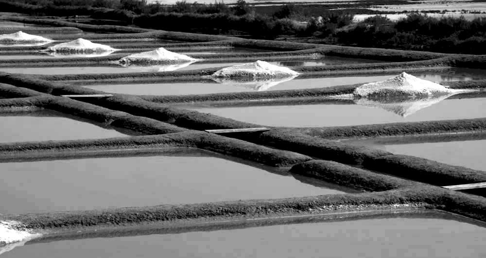 Album - Les Marais-salants de Guerande en noir et blanc