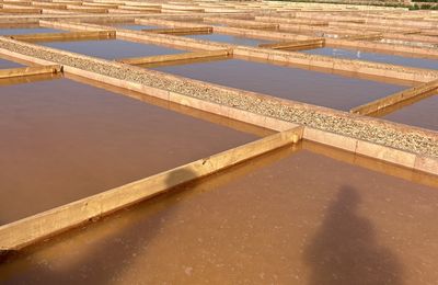 Salinas de la Concepción