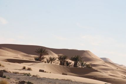 Merzouga