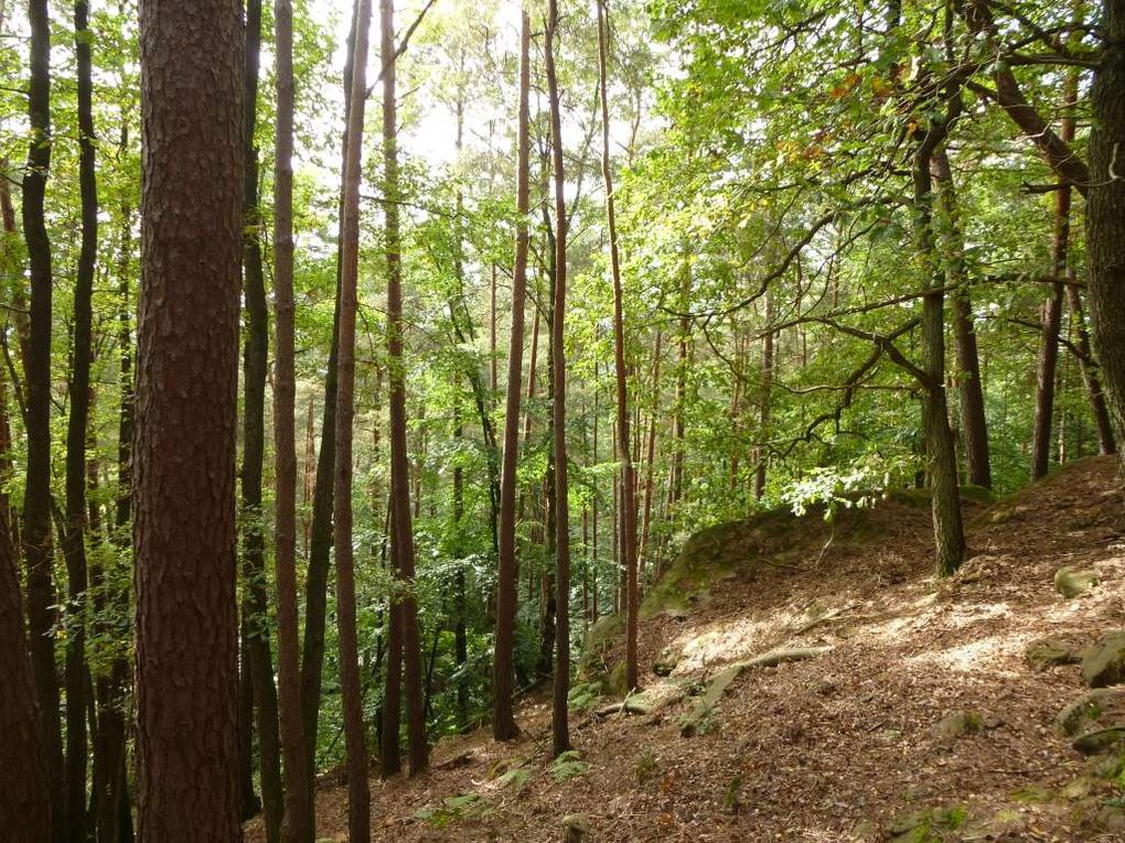 Diaporama : le Wilgartswiesener Rauhbergpfeiler, un site d'escalade de purs cinglés !