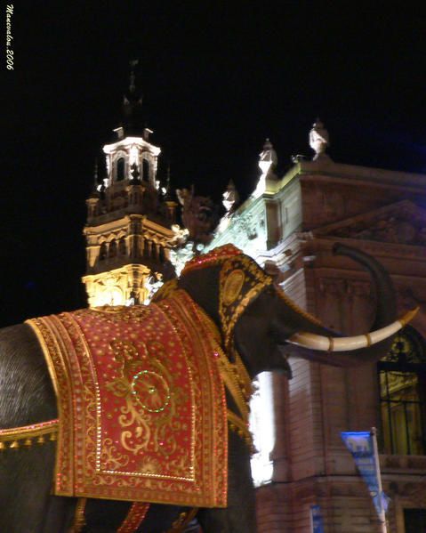 Lille est une ville que j'aime &eacute;norm&eacute;ment, car peu importe le moment de la journ&eacute;e ou de la nuit o&ugrave; je m'y rende, il y a toujours des choses extraordaires qui s'y d&eacute;roulent. Lieu de pr&eacute;dilection pour les photos, laissez moi vous montrer ces instants de vie...