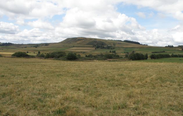 Les narces de Chaudeyrolles août 2015