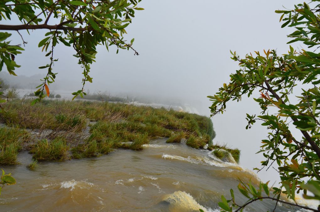 Album - Iguazu-y-Posada