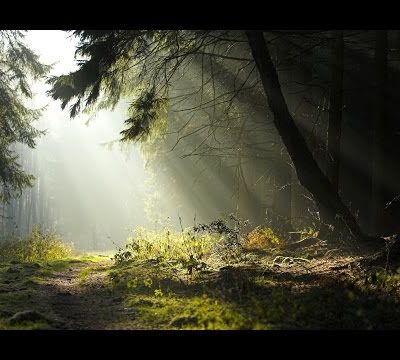 La fête Nuptiale...