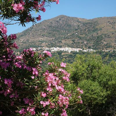 En Crète, la route de l'est, vers Sitia ( suite ).