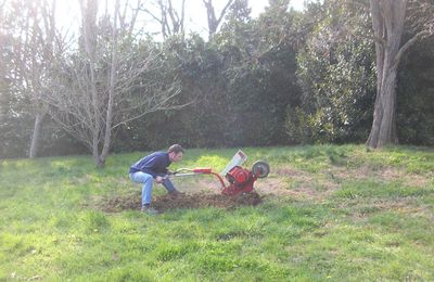 Le début du printemps et du jardin