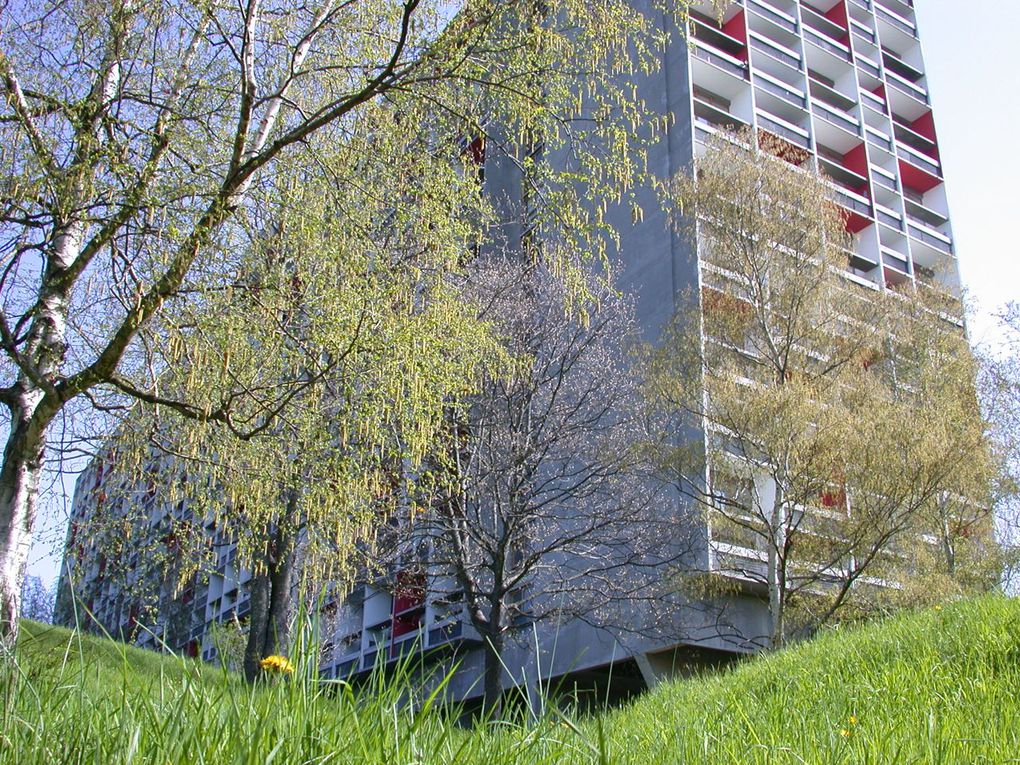 La région stéphanoise est riche de paysages hérités qui ont fait de son patrimoine une certaine richesse méconnue.La ville de Firminy accueille le deuxième ensemble architectural réalisé par Le Corbusier.
