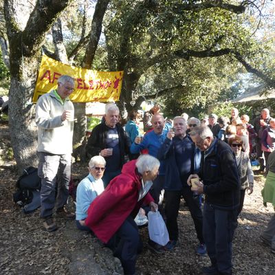 8 décembre 2025 : St Jean du Puy - Grillades et Téléthon