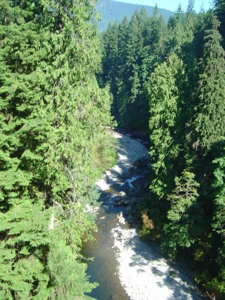 Album - Capilano-suspension-bridge