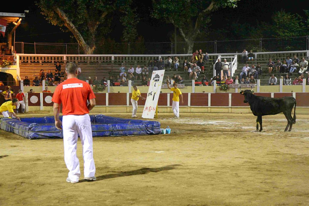 Arènes Parentis 13-08-2010
Croque-vache contre les Pompiers!!