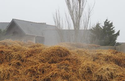 Mener un cheval en box d’hiver :  un chauffage biologique et économique