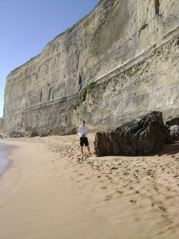 Une des plus Belle Route D'Australie, la Great Ocean Road longe la cote Sud de Melbourne A Adelaide. Les 12 Apotres Sont l'attraction principale de cette Route